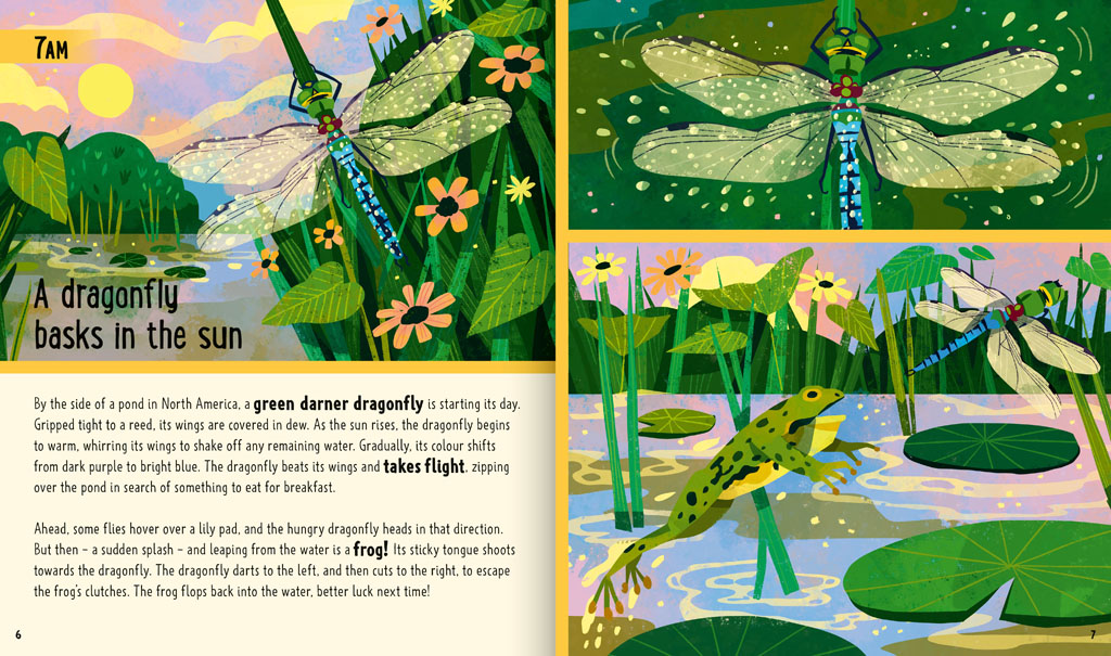 Book pages about a dragonfly