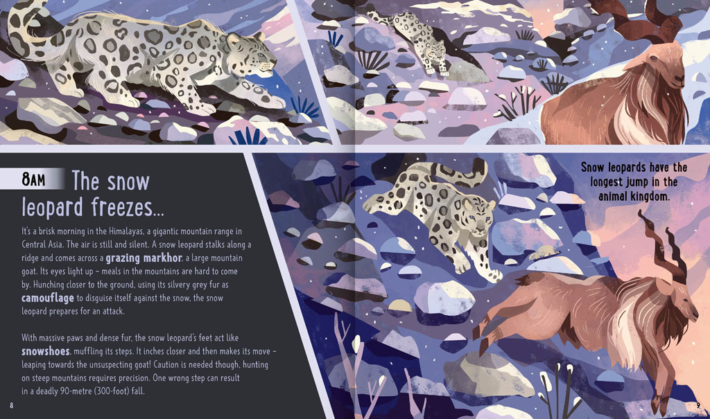 Book pages about a snow leopard hunting