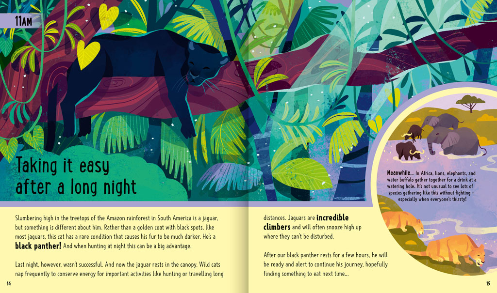 Book pages about a panther slumbering