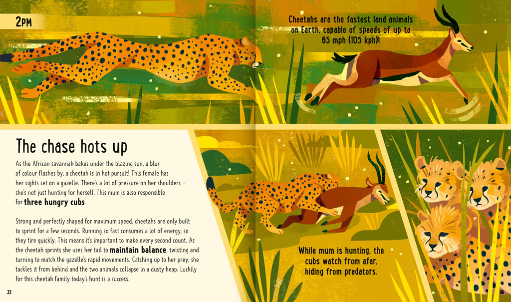 Book pages about cheetah chasing a gazelle
