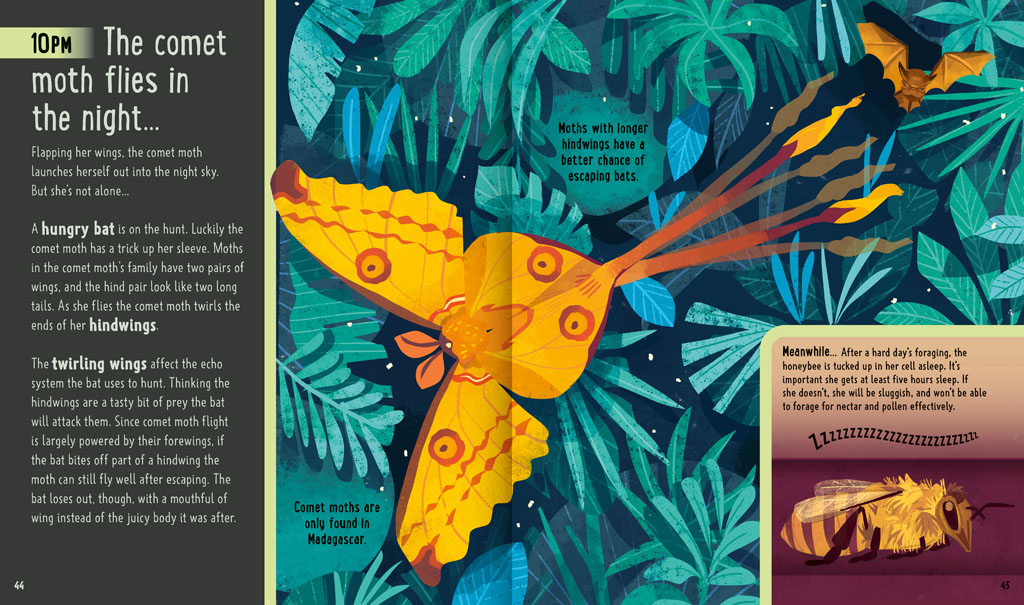 Book pages about a comet moth at night