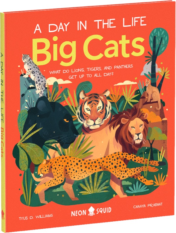 A Day in the Life Big Cats book cover