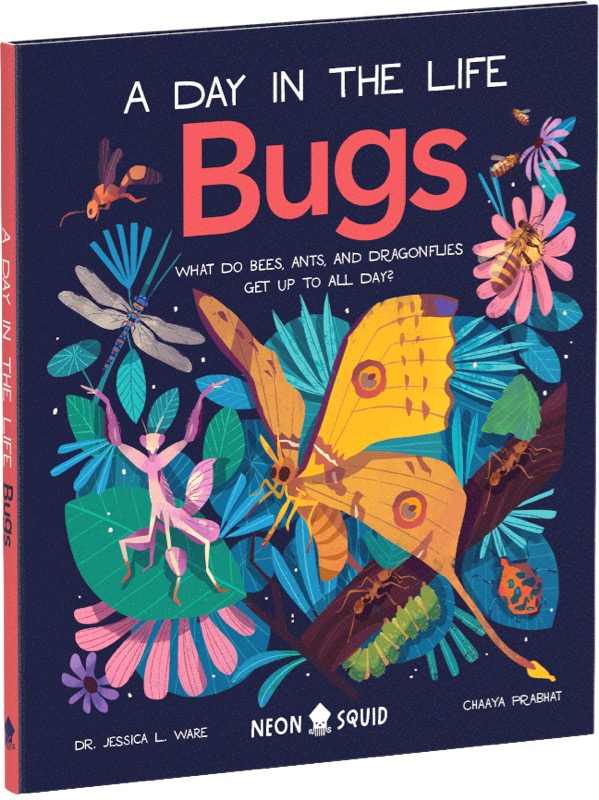 A Day in the Life Bugs book cover