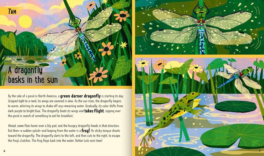 Book pages about a dragonfly