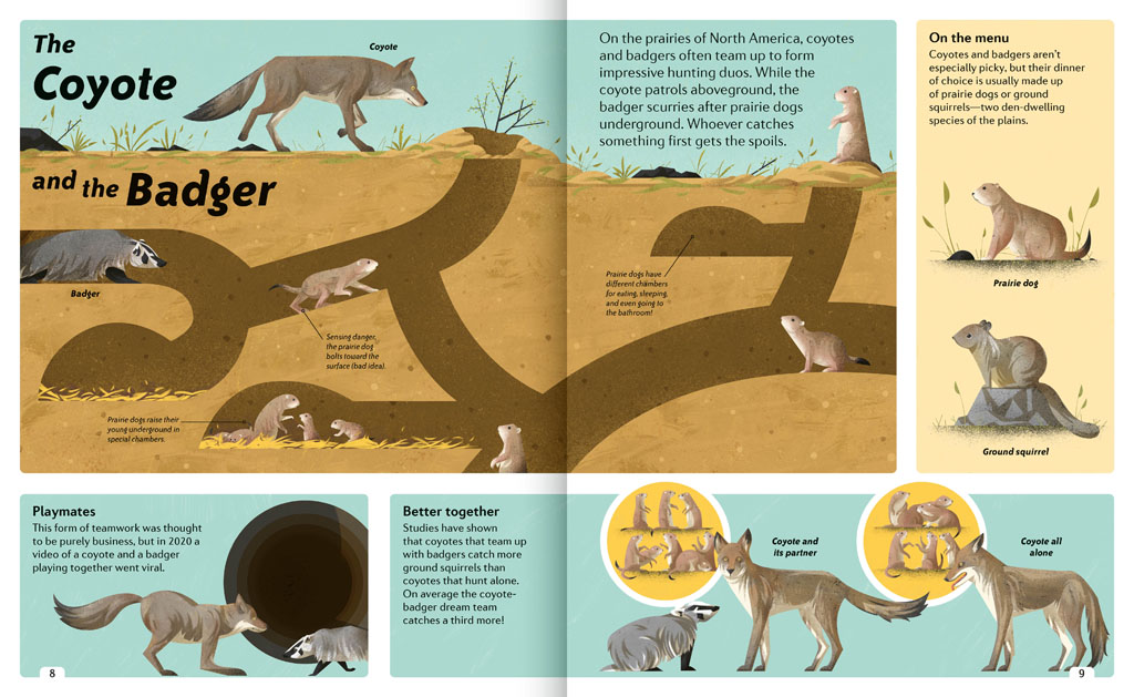 Book pages about the Coyote and the Badger
