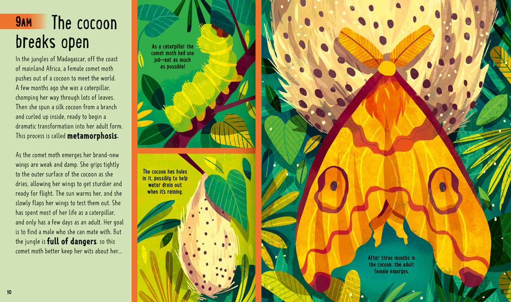 Book pages about a comet moth emerging from its cocoon