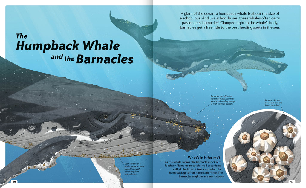 Book pages about the humpback Whale and the Barnacles