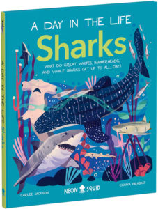 Colorful illustration on a book cover titled "a day in the life sharks," showcasing various sharks like great whites, hammerheads, and whale sharks among underwater flora and small fish.