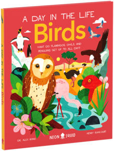 Book cover titled "a day in the life: birds" features colorful illustrations of various birds, including flamingos, an owl, and penguins, amidst vibrant flora.