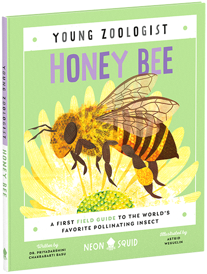 Book cover of "young zoologist honey bee," featuring a vibrant illustration of a honey bee on a green background with yellow flowers, titled as a field guide to pollinating insects.