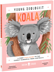 A colorful illustration of a koala on the cover of a children’s book titled "young zoologist koala: a first field guide to the marsupial from australia", written by professor chris daniels and illustrated by marianne lock.