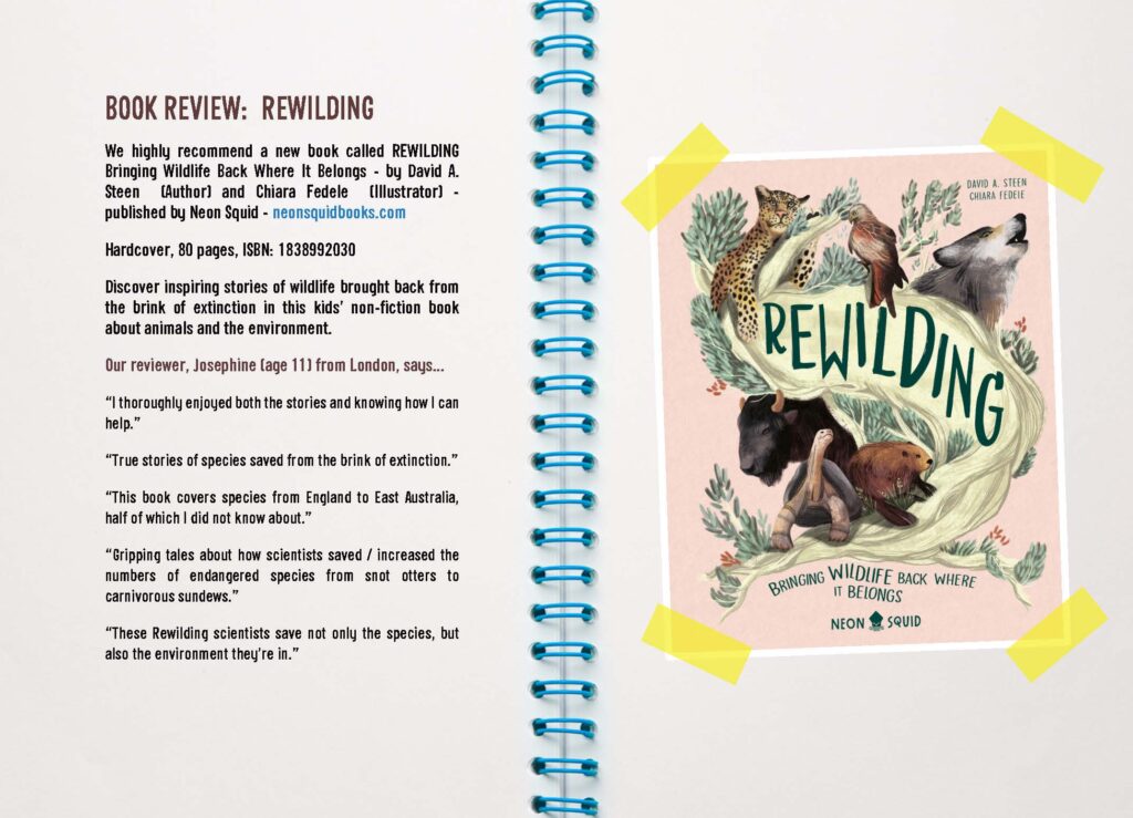 An open book with a spiral binding, featuring a page about wildlife rewilding. the right page has an illustration of a koala in a tree, with the book title "rewilding beyond wild hope.