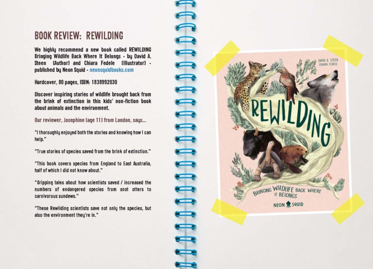 An open book with a spiral binding, featuring a page about wildlife rewilding. the right page has an illustration of a koala in a tree, with the book title "rewilding beyond wild hope.