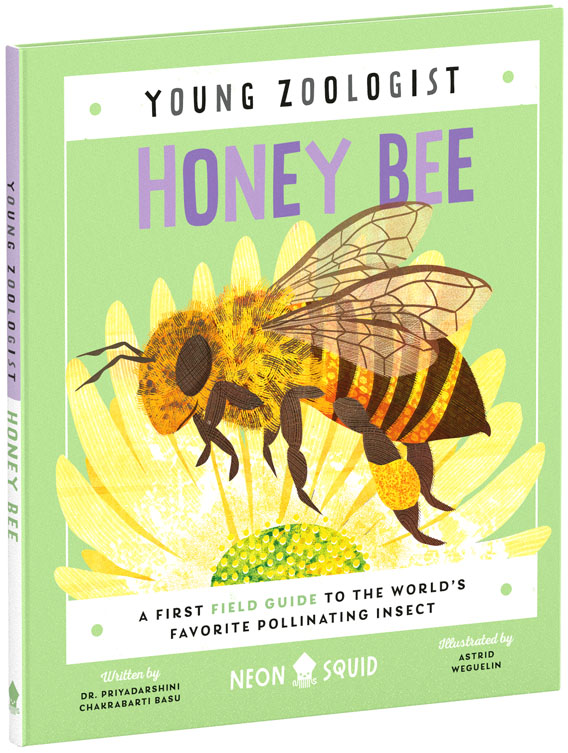 W23-YZ-Honey-Bee-US