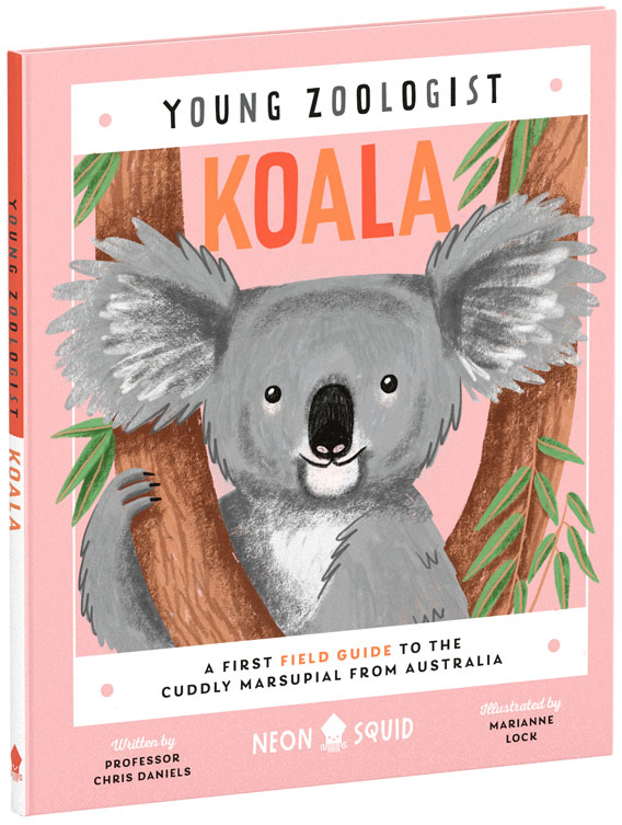 W23-YZ-Koala-UK