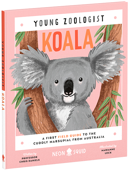 A colorful illustration of a koala on the cover of a children’s book titled "young zoologist koala: a first field guide to the marsupial from australia", written by professor chris daniels and illustrated by marianne lock.