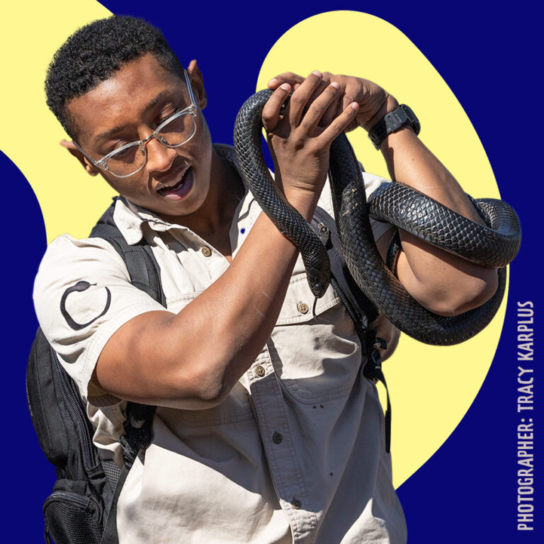 A young man wearing glasses and a beige vest examines a black snake he holds carefully with both hands, against a vibrant blue and yellow background.