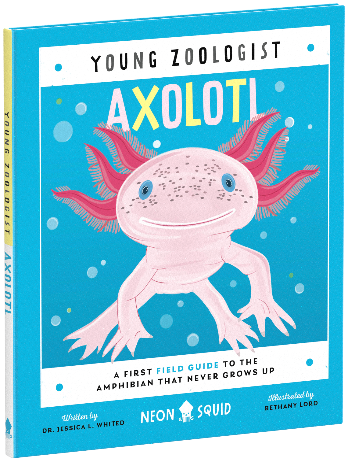 Illustration of a book titled "Young Zoologist: Axolotl" with a cute, stylized axolotl on the cover surrounded by water bubbles. The book is authored by Dr. Jessica L. Whited and illustrated by Bethany Lord.