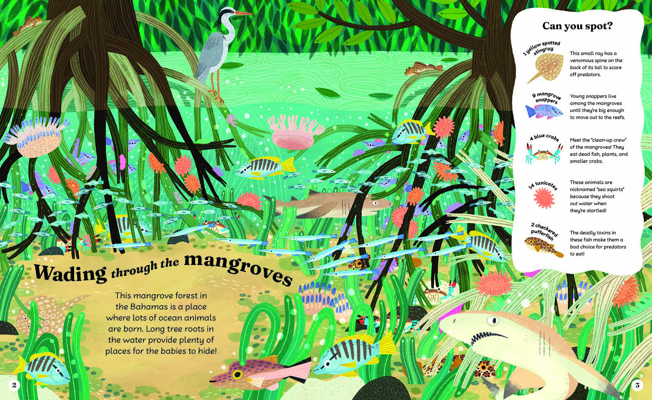 Illustration of a vibrant mangrove forest with various fish, a heron, and labeled ocean animals in the Bahamas.