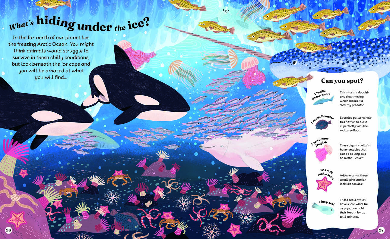 Illustration of Arctic Ocean with orcas, beluga whale, fish, jellyfish, starfish, sea urchins, and colorful corals.
